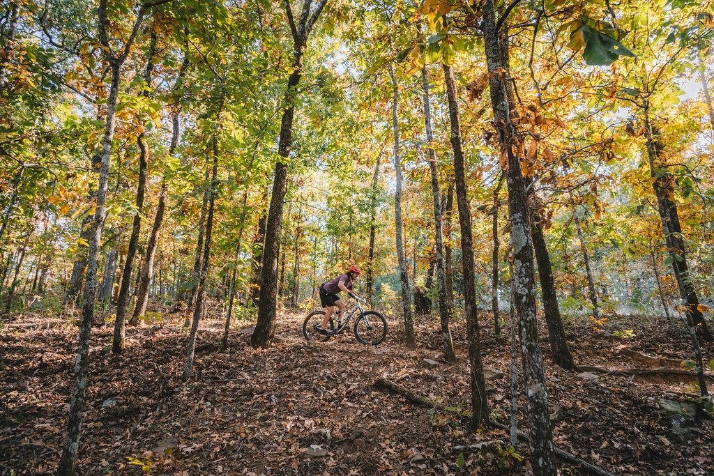 Life in Fort Smith, Arkansas