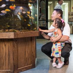 Oxbow Meadows Environmental Learning Center at Columbus State University