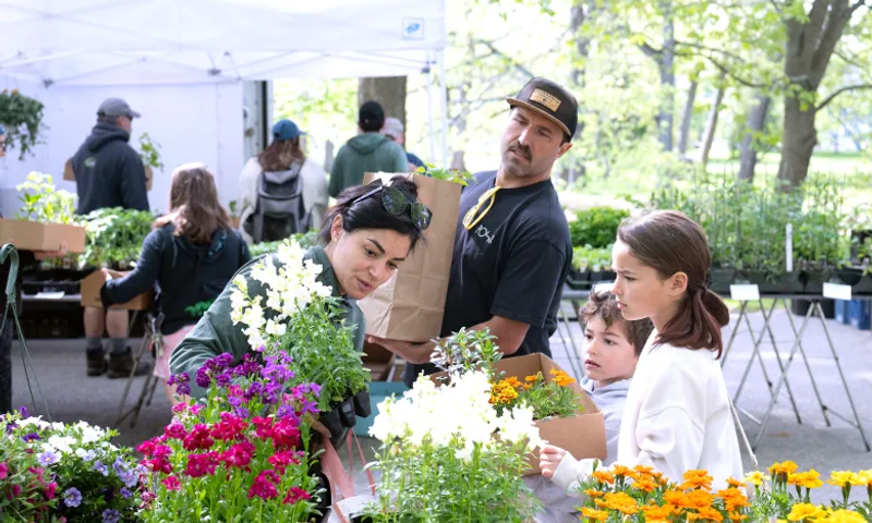 Local Farmers Market