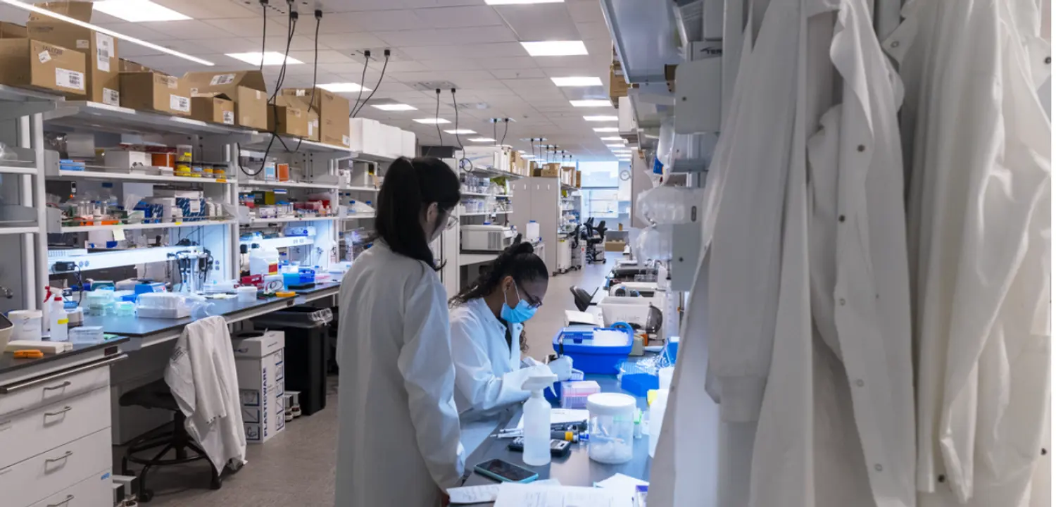 Healthcare roles in Indy Region