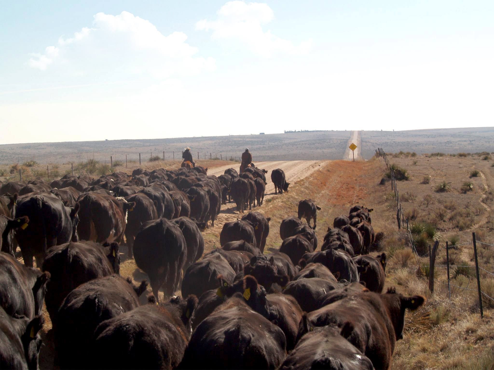 Life in Wallace County, Kansas