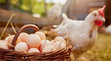 Communities are offering free eggs as part of their incentives to remote workers who relocate there through MakeMyMove. 