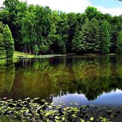 Perry County offers beautiful views and peaceful surroundings. 