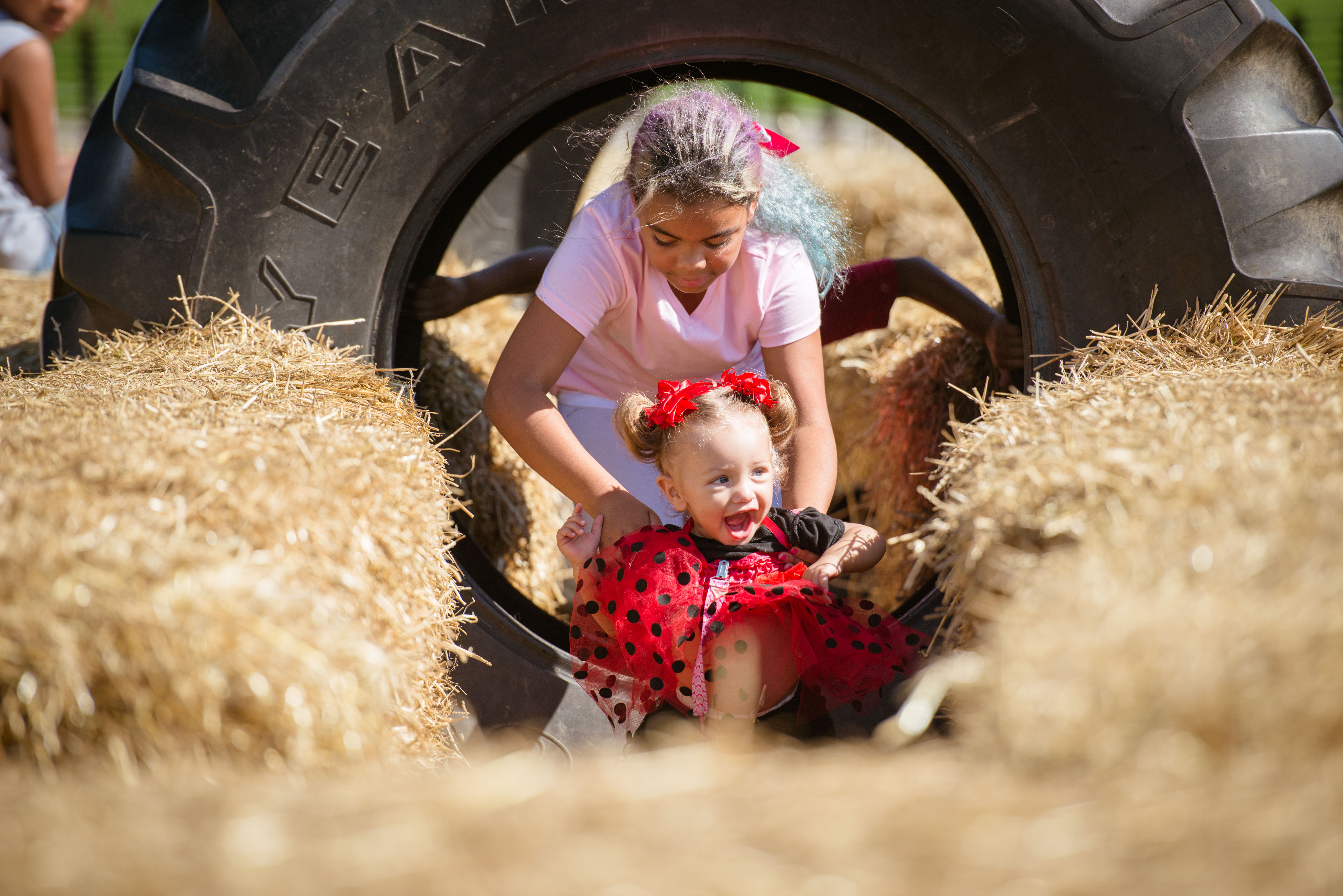 Life in Whiteland, Indiana