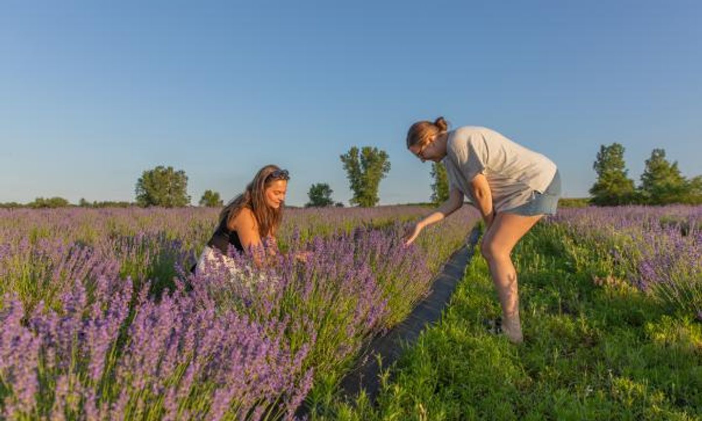 Learn about your new home in Eau Claire! (Credit: Think Eau Claire)