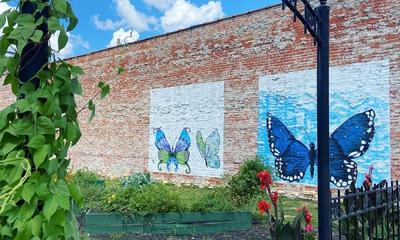 Butterfly murals, plants and veggies at The Oasis Community Garden (Photo Credit: Fayette County Community Voices)