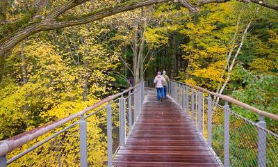 Hikers on the canopy tree walk at Dow Gardens. Photo credit: NCSchneider_Images / Shutterstock.com