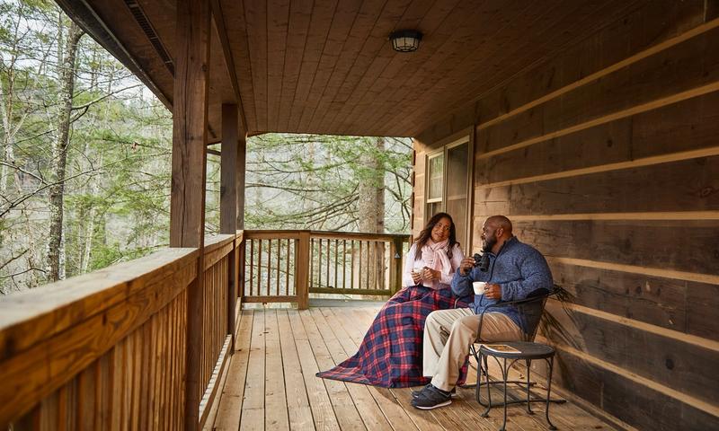Mornings in the log cabin
