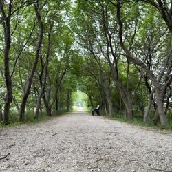 Laurens Trail
