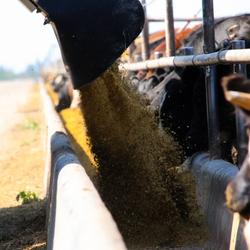 Agriculture roots run deep in Kansas. Find a job that suits your skills today! (Photo Credit: BowerComm)