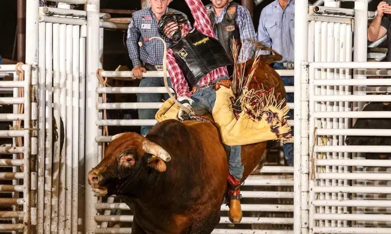 People come from all over to vist the Graham County Fair and Jayhawker Rodeo.