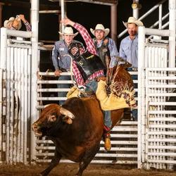 The Annual Graham County Fair and Rodeo draws people from all over the region and from out of state.