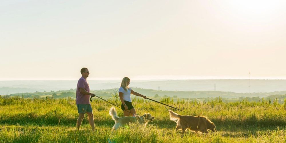 Life in Riley County, Kansas