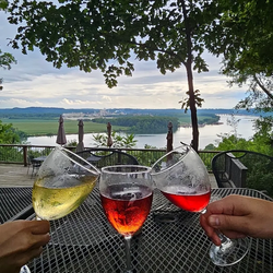 Blue Heron Winery