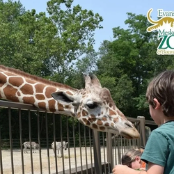 Mesker Park Zoo