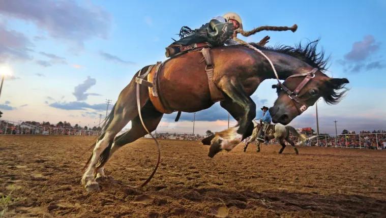Life in Pretty Prairie, Kansas