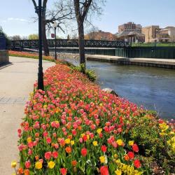 Elkhart River Walk
