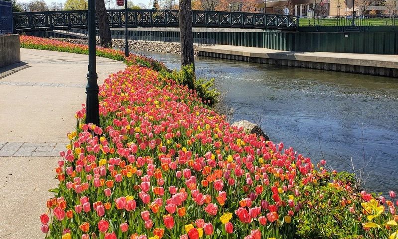 Elkhart, IN River Walk