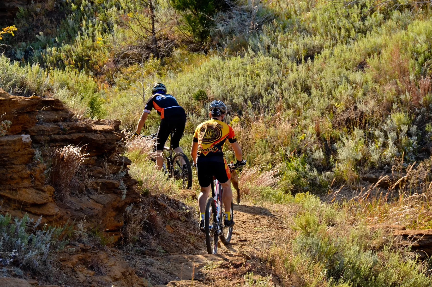 Switchgrass Mountain Bike Trail