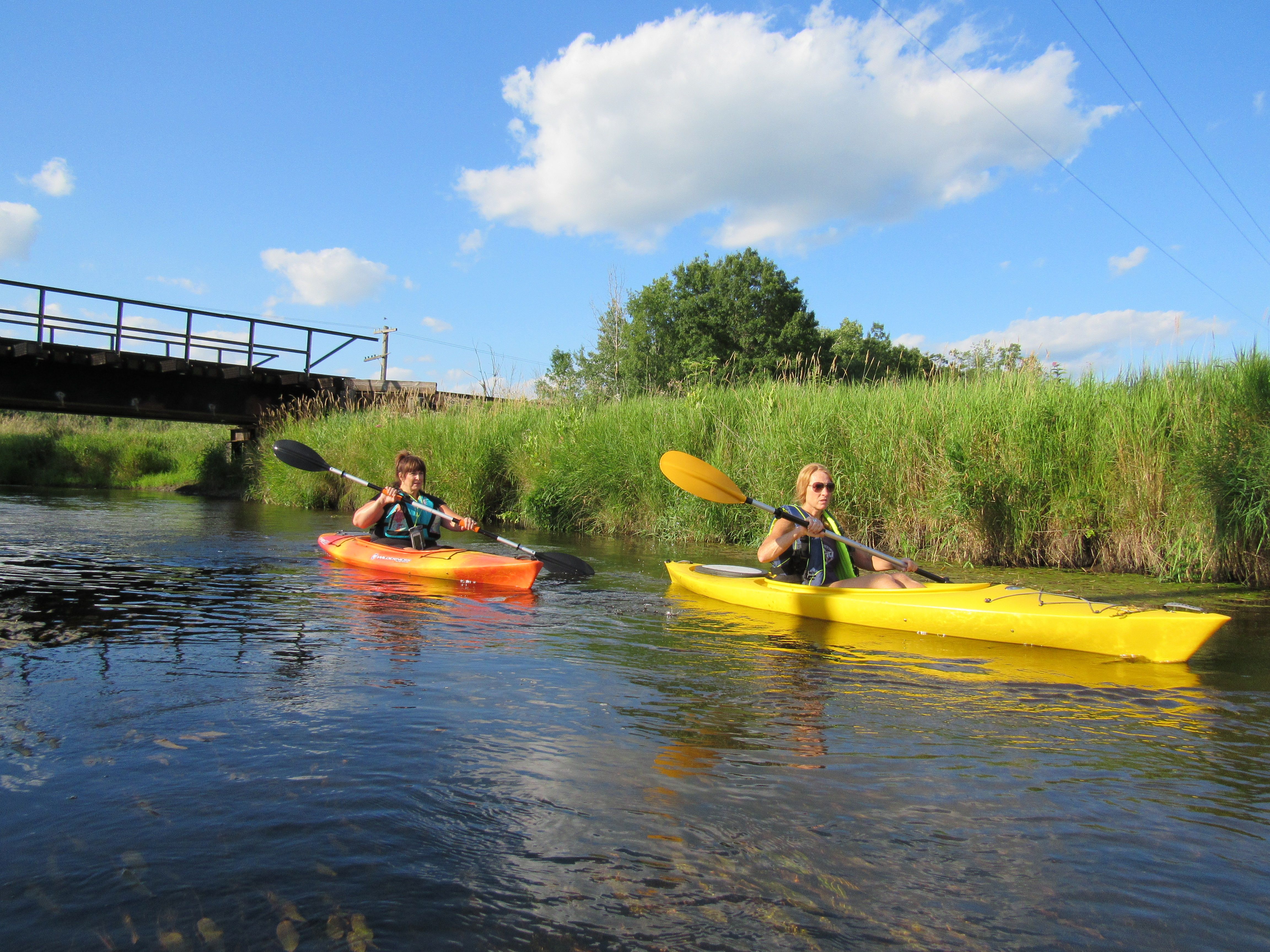 Life in Shiawassee County, Michigan