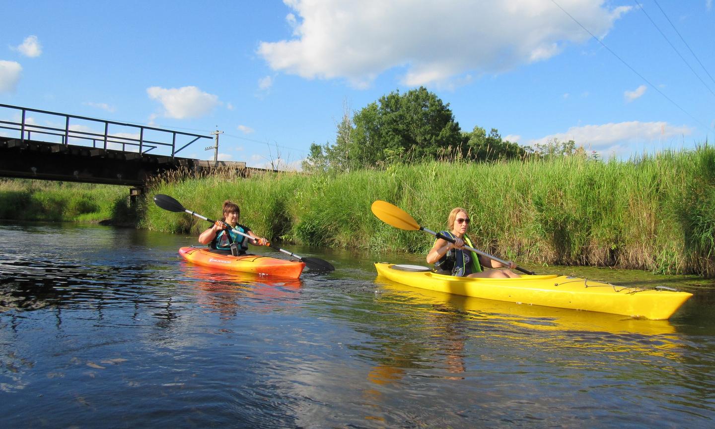 Kayaking on the Shiawassee River (Credit: Oakland County Blog)