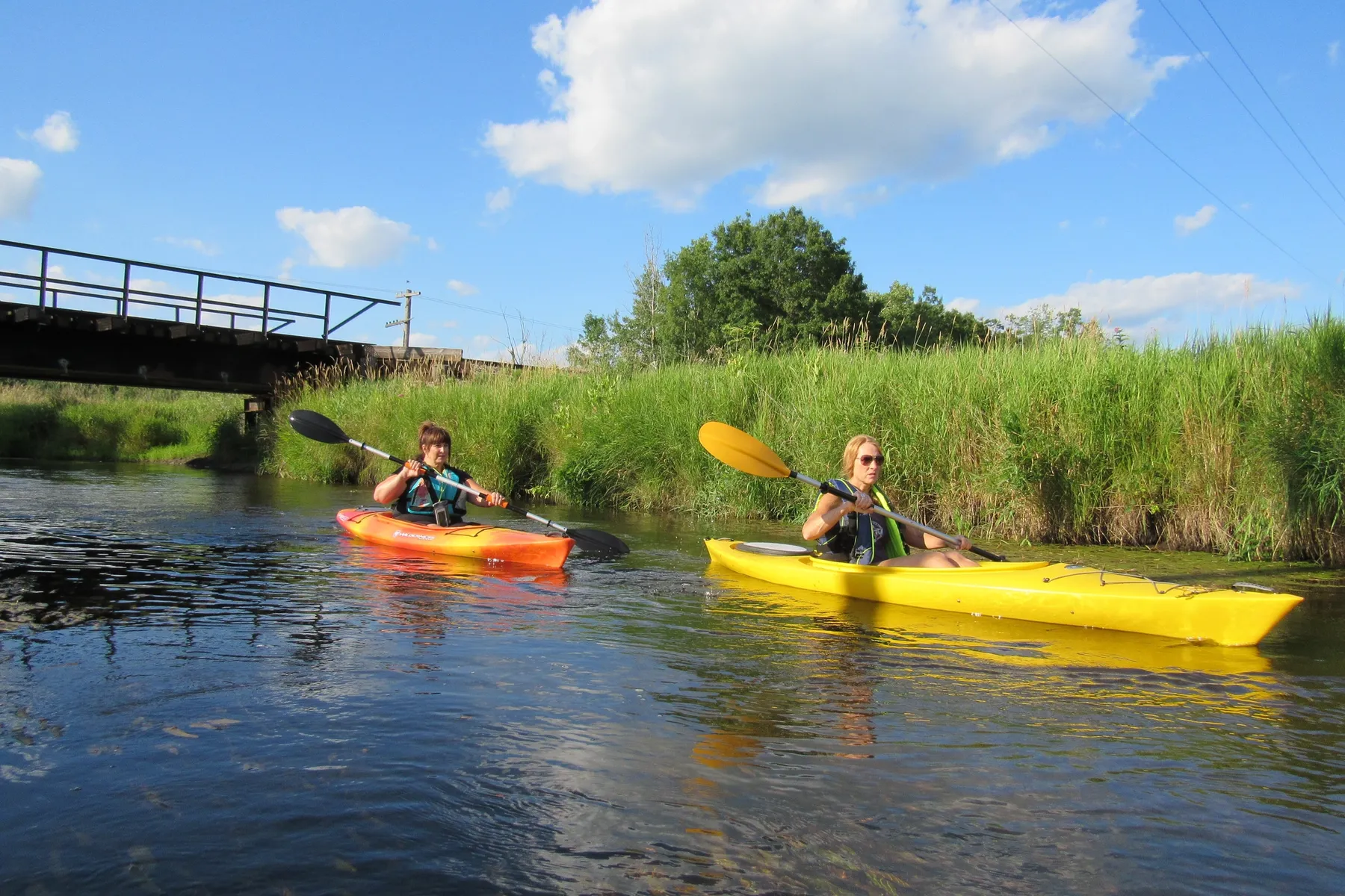 Kayaking on the Shiawassee River (Credit: Oakland County Blog)
