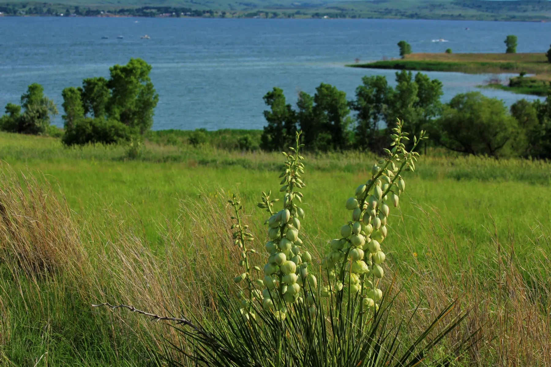 Get paid to live in Wilson, Kansas