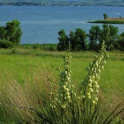 Get paid to live in Wilson, Kansas
