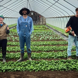 Canticle Farm
