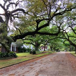 Street in Midtown (Image credit: More to Mobile)