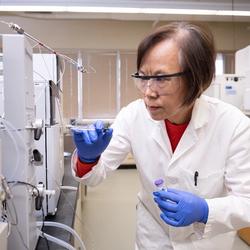 Explore open roles at the region's cornerstone employer, Kansas State University (Credit: Kansas State University)