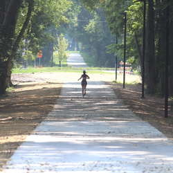 Jackson's main pedestrian trail 