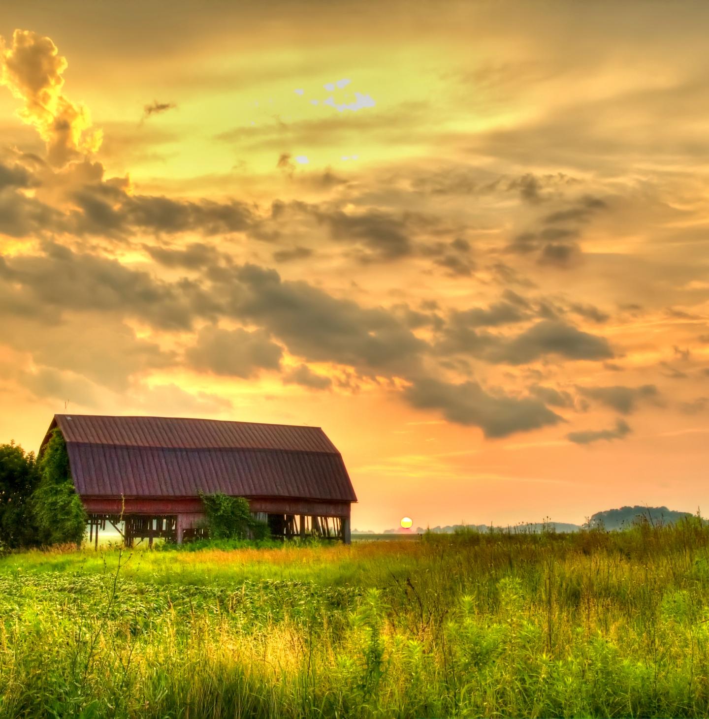 The sun sets over an old barn in a grassy field