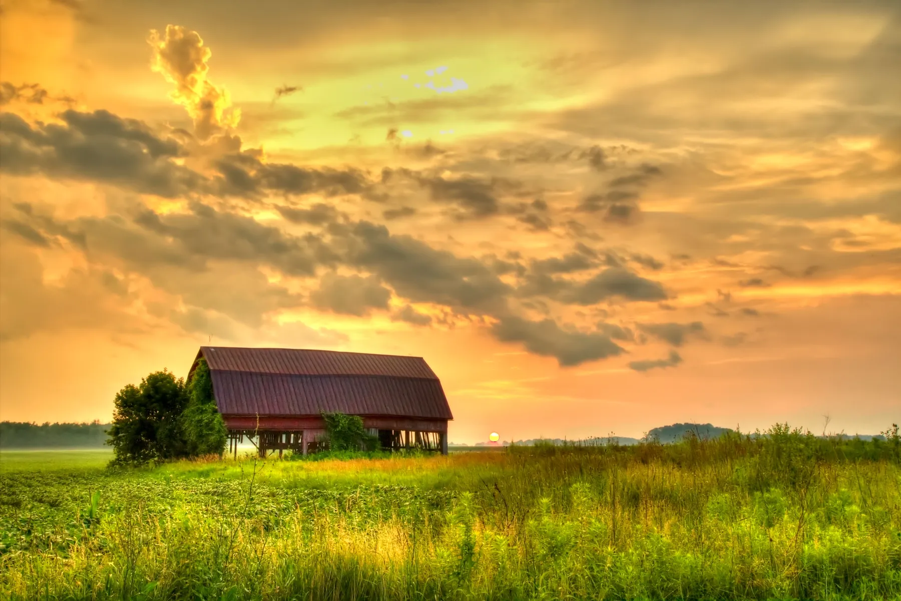 The sun sets over an old barn in a grassy field