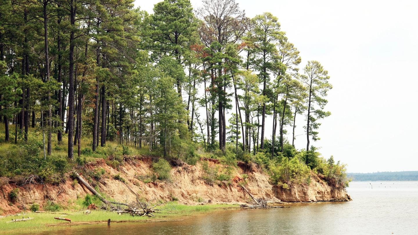 Explore Sabine National Forest, one of five national forests located within Texas Forest Country.