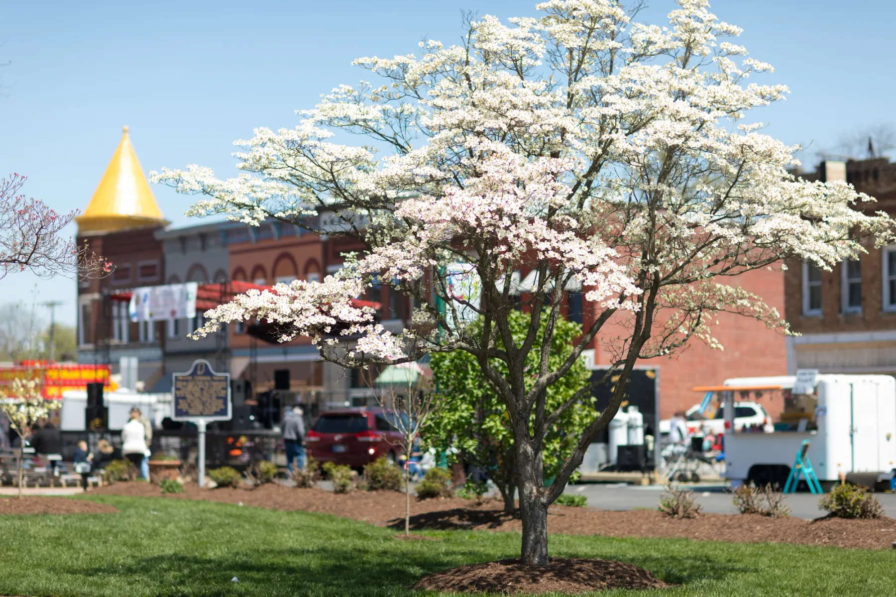 An Orleans tradition since 1970, the annual Orleans Dogwood Festival includes a parade, local food and arts vendors, a carnival in Congress Square, and more. Photo credit: Roberto Galan / Shutterstock.com