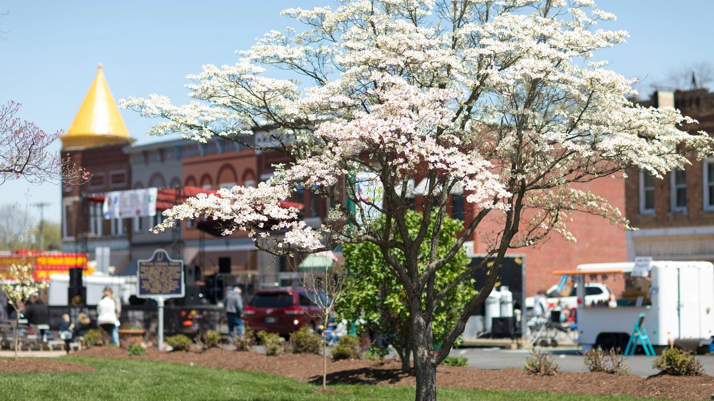 An Orleans tradition since 1970, the annual Orleans Dogwood Festival includes a parade, local food and arts vendors, a carnival in Congress Square, and more. Photo credit: Roberto Galan / Shutterstock.com