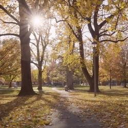 Fall in Jacksonville