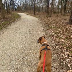 Altherr Nature Park- trail through 16.5 acres
