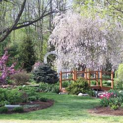 Avon Gardens