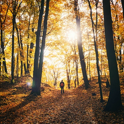 Hoosier National Forest