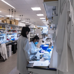Learn, explore, and grow in your healthcare or life science field (Credit: Life Sciences in Indy)