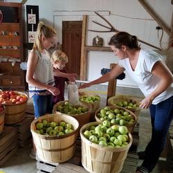 Family Picking Apples at Dougherty Orchard
