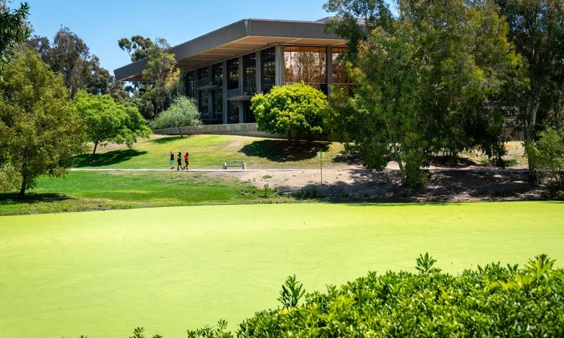 For beach-free entertainment, check out the hiking, bird watching, and beautiful Huntington Beach Library in Central Park. Photo credit: Debbie Eckert / Shutterstock.com