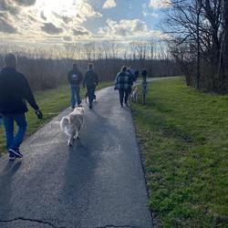 National Walking Day