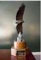 The Abilene Trophy