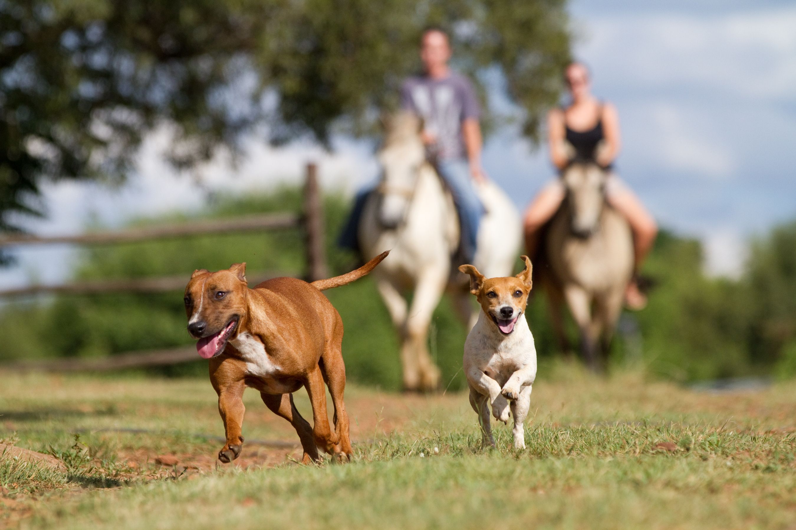Get paid to live in 
    Osborne, Kansas