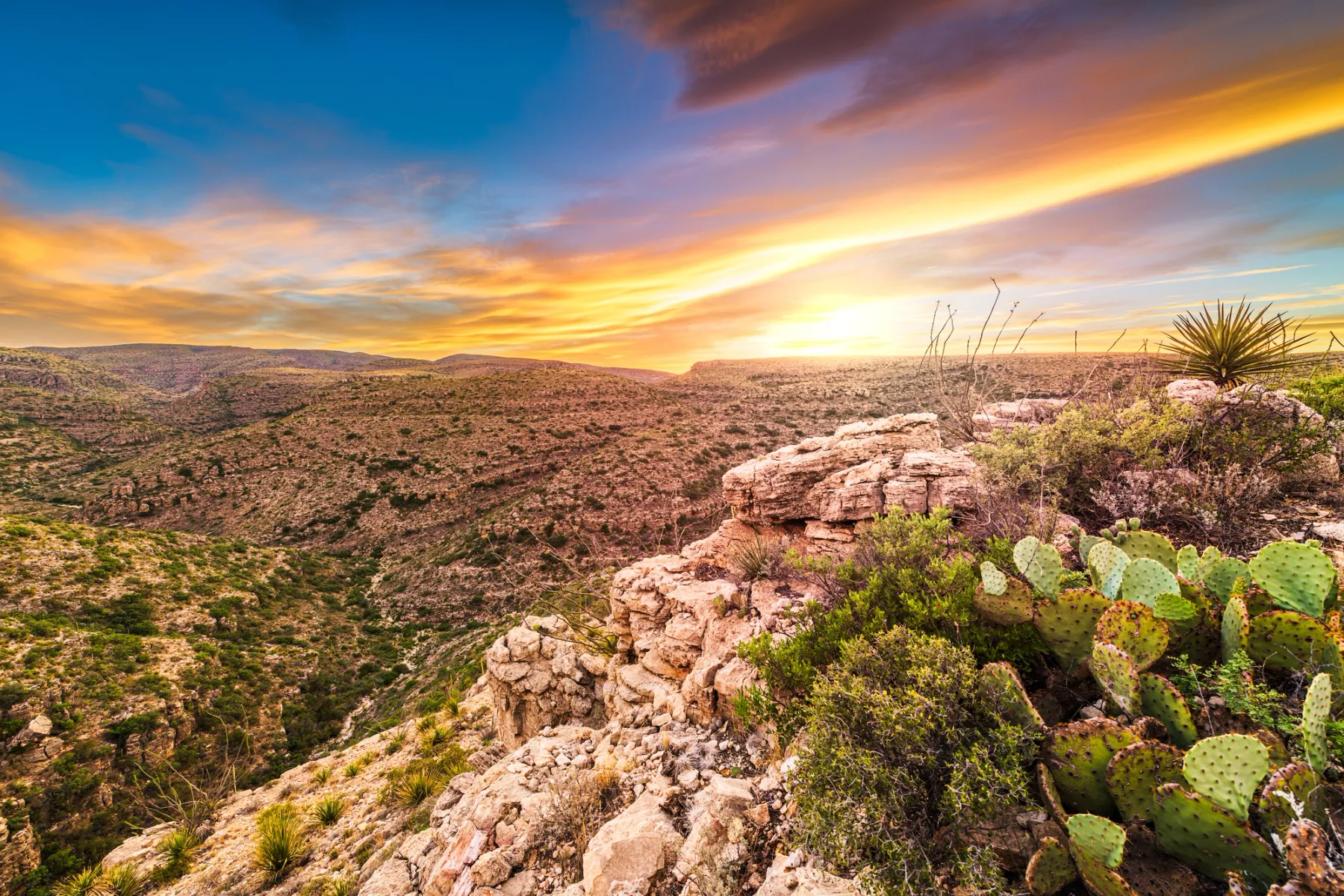Located in the Chihuahuan Desert, Carlsbad Caverns National Park features more than 100 caves.