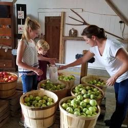 Apple selection at Dougherty Orchard (Credit: Wayne County EDC)