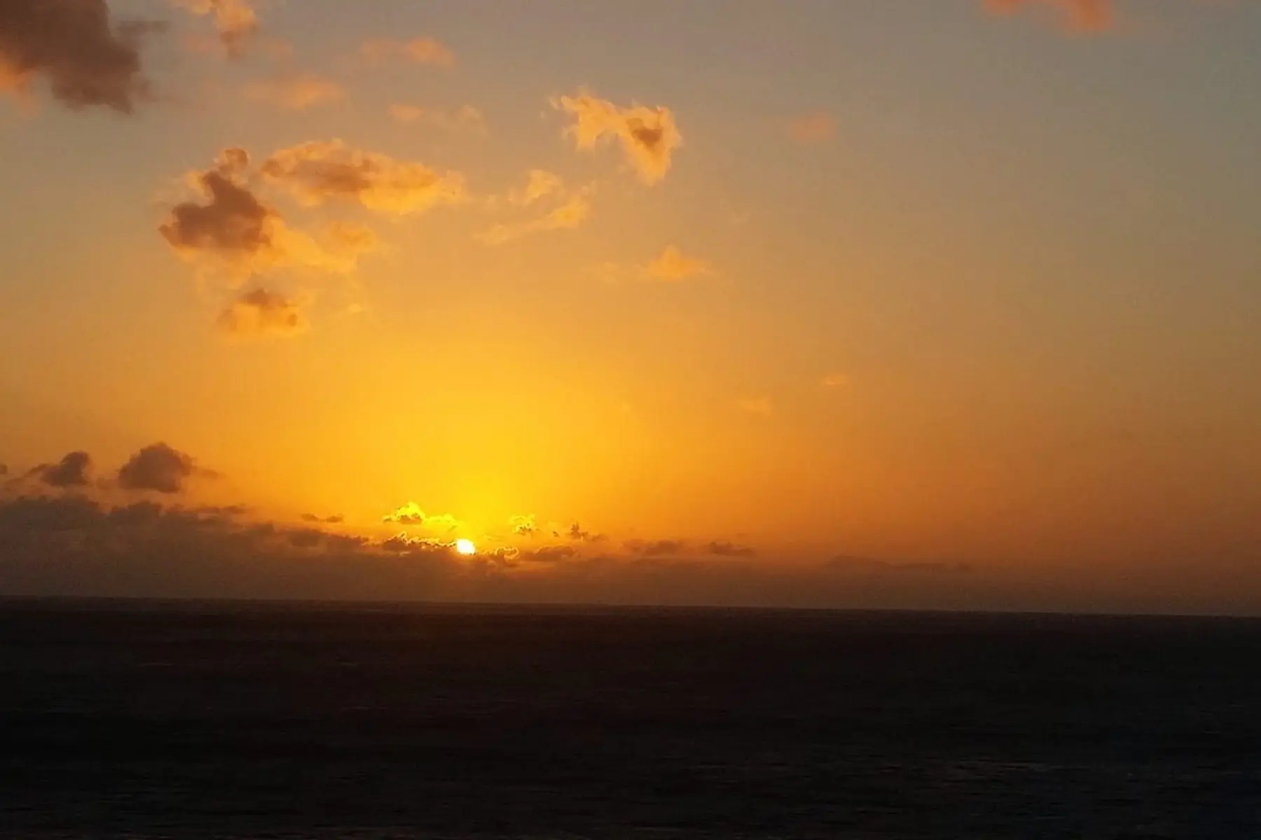 Located 15 miles south of Dallas in Northeastern Texas, Wilmer is a peaceful and blossoming community.